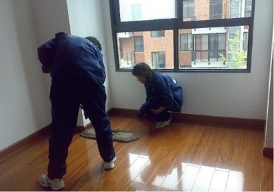 廈門陽桄家政 專業地毯與工廠清洗，明碼標價服務周到